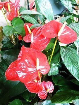 一种说不出的心情句子 突然一刻心酸的句子28句