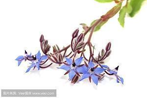 2020最后一个月说点什么发朋友圈