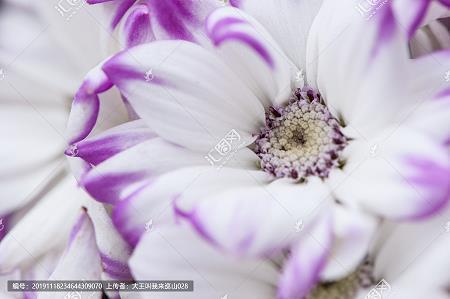 早安简短唯美句子 让人一看就赞的早安说说汇总69句