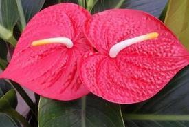 重阳节登山发朋友圈的句子(精选94句)