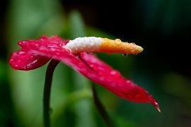 寒衣节缅怀亲人的文案说说 寒衣节朋友圈怎么发