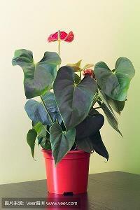 暗示对朋友心寒的句子