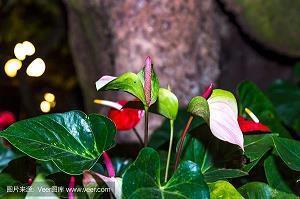 天冷穿厚点的暖心句子(精选53句)