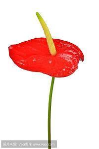 表达祝福的短句子 阳光是暖的，微风是柔的，岁月静好着