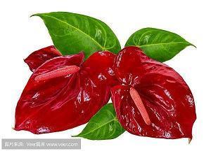 心烦发什么朋友圈合适 生活无奈伤感心酸句子集锦29句