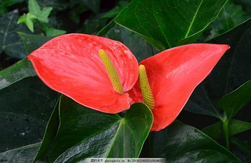 适合晚安的短句子集锦26句