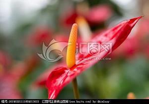 描述清明节的唯美句子和诗句