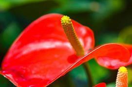 每天告诉自己努力奋斗说说 每天坚持努力的句子(精选56句)