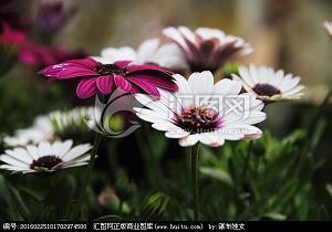 芒种节气的谚语 芒种节气朋友圈说说合集71句