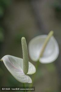 冬至走心祝福文案说说(精选89句)