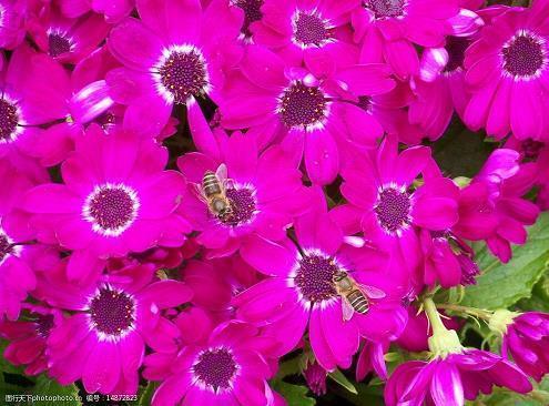 祝闺蜜生日快乐的说说