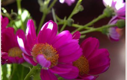 提车文案短句高级感(精选31句)