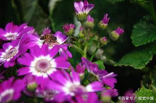 营销团队服务理念口号