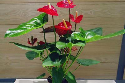 心寒心酸的句子 让对方看到心疼的句子精选82句