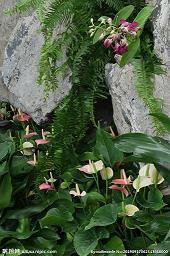 哲理性的句子段落摘抄(精选38句)