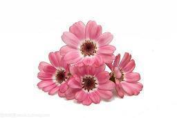 特别开心快乐的句子说说