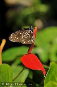 改变自己心态的句子