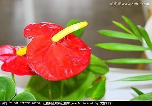 那些美到哭的句子