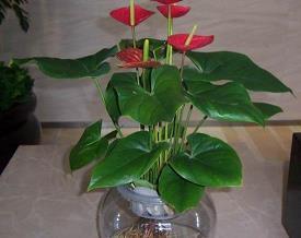 适合发说说的句子收录18句