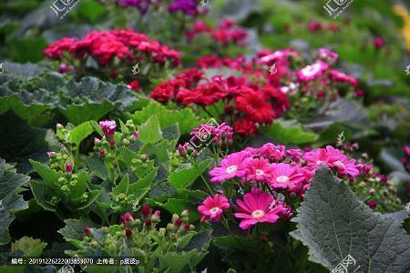 每日清晨早安语录正能量一句话精选39句