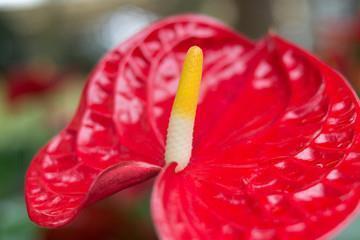 2021五一劳动节最新的经典祝福语