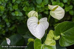 每日早安正能量短句集锦27句