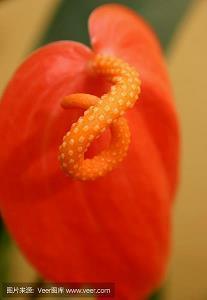 早安心语女人致最好自己的句子集锦29句