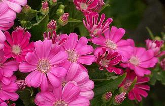 下雨发朋友圈的唯美心情说说 下雨天的心情经典句子38句