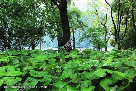 表示要离开的句子隐喻(精选31句)