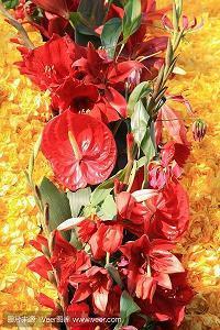 校园爱情的句子77句