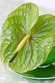 新年春节经典对联100副(精选95句)