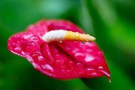 朋友送行祝福语诗句