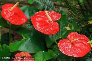 描写星星多的句子48句