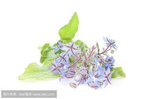 表示过春节玩得开心的句子