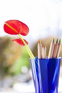 骂女人最狠最贱的语句 关于骂人很贱的句子(精选46句)