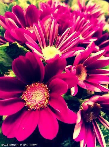 英文短句子励志