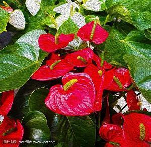 晚上好祝福一句话 简短的晚上问候语 晚上好温馨图片汇编71句