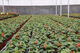 新娘给新郎说的话(精选62句)