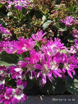 谦虚的好句好段最新大全精选54句