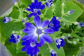 雷人语录搞笑幽默合集40句