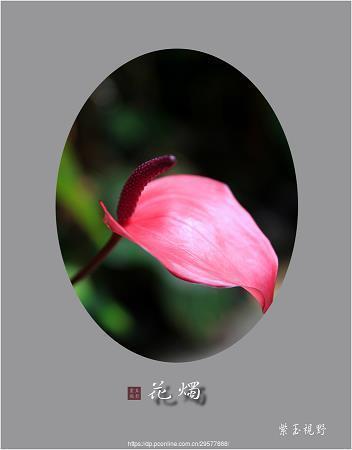 婚后甜蜜的句子 结婚后两个人唯美的句子