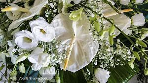 5月20号的表白情话汇总86句