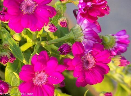 必须要让自己强大起来的句子