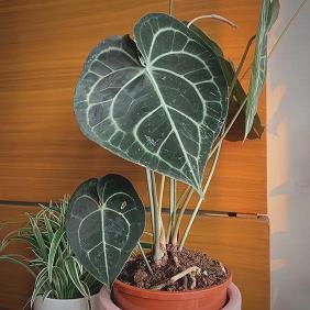 表达老公辛苦了的话语