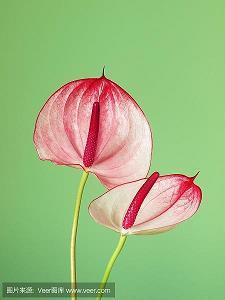 描写心情难受的句子 形容心情难受的句子(精选68句)