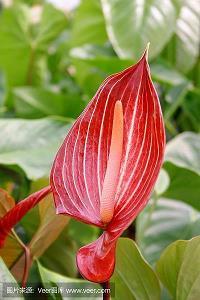 感恩的句子 翻开 回忆