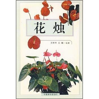 2020年网名四个字的女生 刻骨铭心