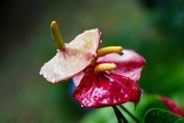 早安语录 新的一天开始说说摘录22句