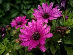 放不下一个人的经典语录 放不下前任的情感语录