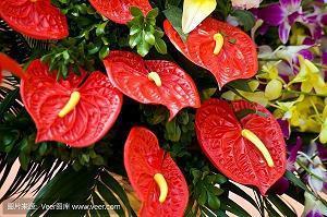 感叹时光匆匆的句子 时光匆匆的脚步，更迭着四季的风景